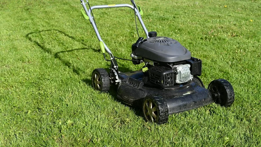 A push mower on a freshly cut lawn